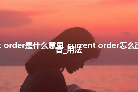 current order是什么意思_current order怎么翻译及发音_用法