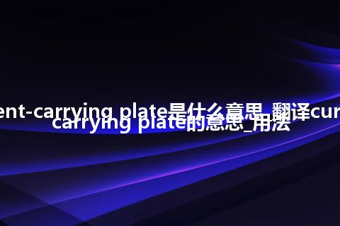 current-carrying plate是什么意思_翻译current-carrying plate的意思_用法