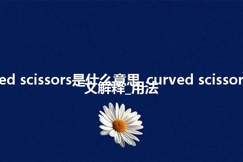 curved scissors是什么意思_curved scissors的中文解释_用法