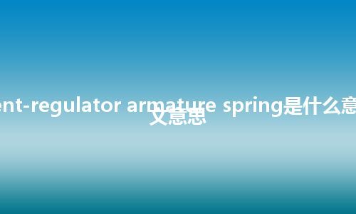 current-regulator armature spring是什么意思_中文意思