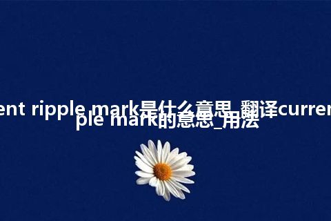 current ripple mark是什么意思_翻译current ripple mark的意思_用法