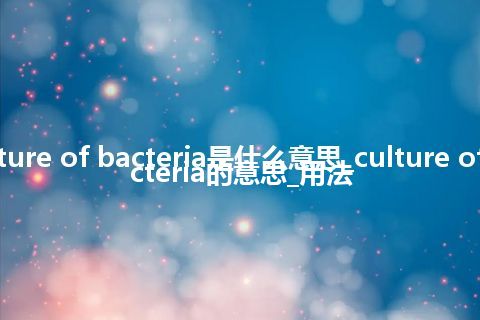 culture of bacteria是什么意思_culture of bacteria的意思_用法