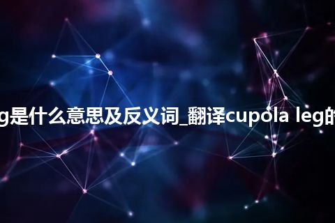 cupola leg是什么意思及反义词_翻译cupola leg的意思_用法