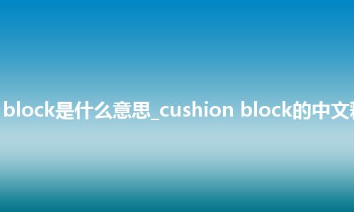 cushion block是什么意思_cushion block的中文释义_用法