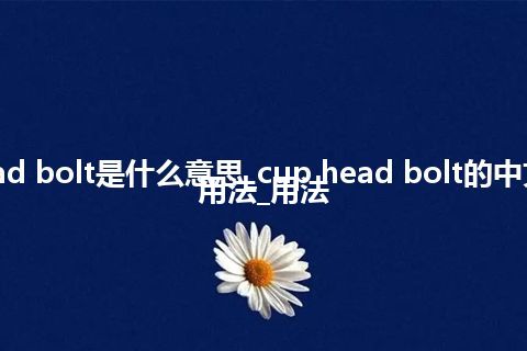 cup head bolt是什么意思_cup head bolt的中文翻译及用法_用法