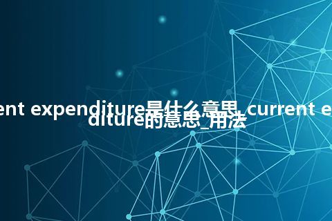 current expenditure是什么意思_current expenditure的意思_用法