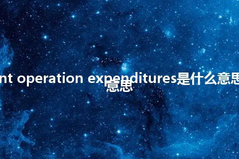 current operation expenditures是什么意思_中文意思