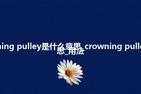 crowning pulley是什么意思_crowning pulley的意思_用法