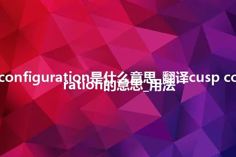 cusp configuration是什么意思_翻译cusp configuration的意思_用法