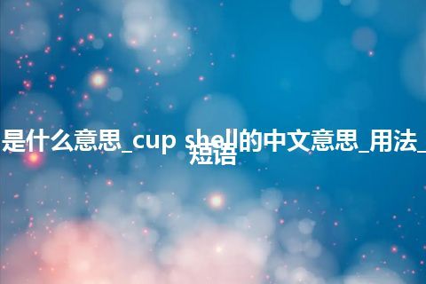 cup shell是什么意思_cup shell的中文意思_用法_例句_英语短语