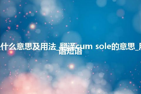 cum sole是什么意思及用法_翻译cum sole的意思_用法_例句_英语短语