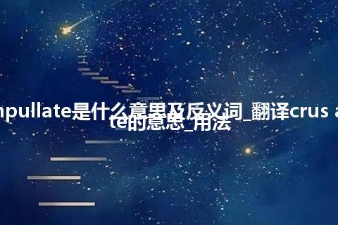 crus ampullate是什么意思及反义词_翻译crus ampullate的意思_用法