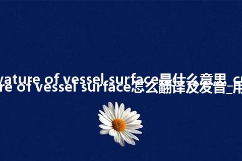 curvature of vessel surface是什么意思_curvature of vessel surface怎么翻译及发音_用法