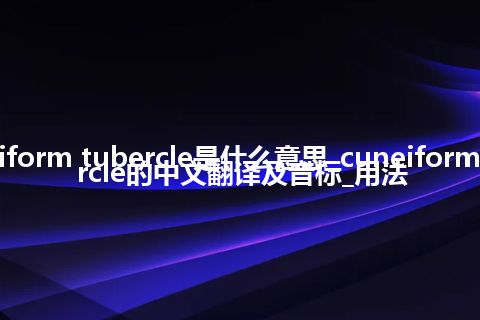 cuneiform tubercle是什么意思_cuneiform tubercle的中文翻译及音标_用法