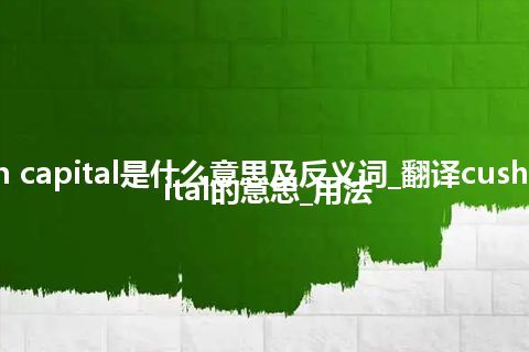 cushion capital是什么意思及反义词_翻译cushion capital的意思_用法