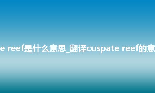 cuspate reef是什么意思_翻译cuspate reef的意思_用法