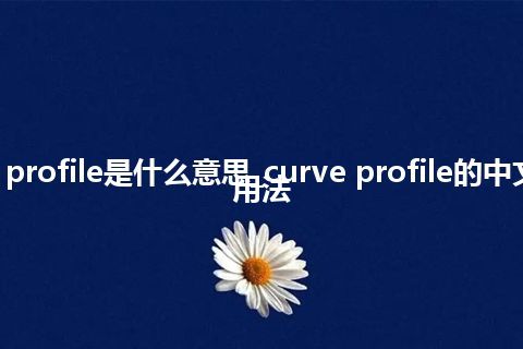 curve profile是什么意思_curve profile的中文解释_用法