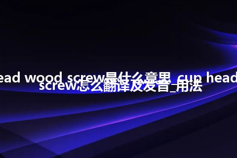 cup head wood screw是什么意思_cup head wood screw怎么翻译及发音_用法