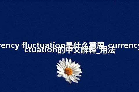 currency fluctuation是什么意思_currency fluctuation的中文解释_用法