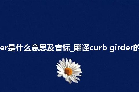 curb girder是什么意思及音标_翻译curb girder的意思_用法