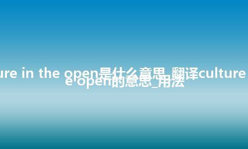 culture in the open是什么意思_翻译culture in the open的意思_用法