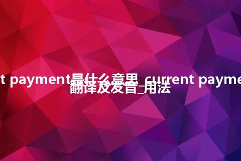 current payment是什么意思_current payment怎么翻译及发音_用法