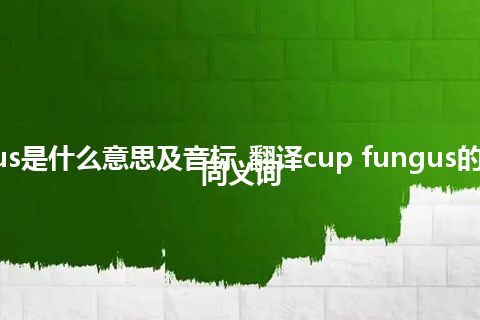 cup fungus是什么意思及音标_翻译cup fungus的意思_用法_同义词