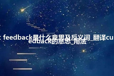 current feedback是什么意思及反义词_翻译current feedback的意思_用法