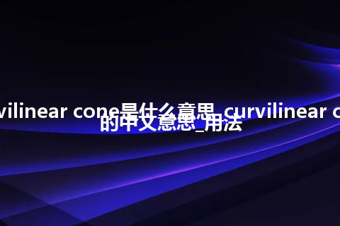 curvilinear cone是什么意思_curvilinear cone的中文意思_用法