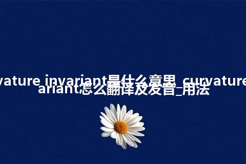 curvature invariant是什么意思_curvature invariant怎么翻译及发音_用法