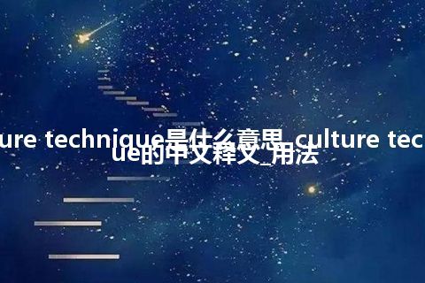 culture technique是什么意思_culture technique的中文释义_用法