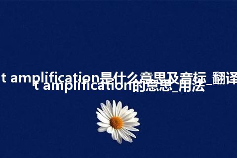 current amplification是什么意思及音标_翻译current amplification的意思_用法