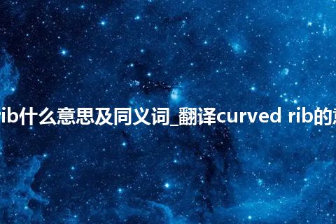 curved rib什么意思及同义词_翻译curved rib的意思_用法