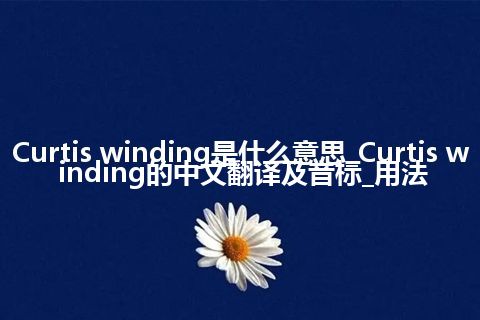 Curtis winding是什么意思_Curtis winding的中文翻译及音标_用法