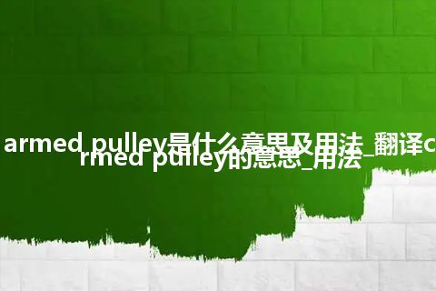 curved armed pulley是什么意思及用法_翻译curved armed pulley的意思_用法