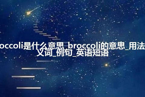 broccoli是什么意思_broccoli的意思_用法_同义词_例句_英语短语