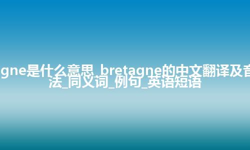 bretagne是什么意思_bretagne的中文翻译及音标_用法_同义词_例句_英语短语