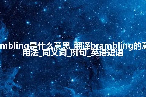 brambling是什么意思_翻译brambling的意思_用法_同义词_例句_英语短语