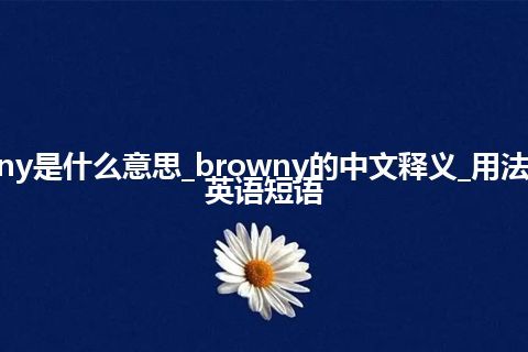 browny是什么意思_browny的中文释义_用法_例句_英语短语