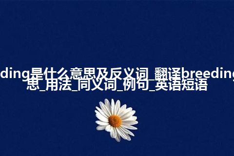 breeding是什么意思及反义词_翻译breeding的意思_用法_同义词_例句_英语短语