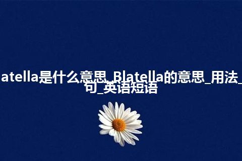 Blatella是什么意思_Blatella的意思_用法_例句_英语短语