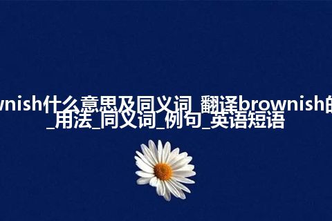 brownish什么意思及同义词_翻译brownish的意思_用法_同义词_例句_英语短语