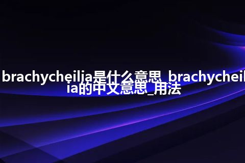 brachycheilia是什么意思_brachycheilia的中文意思_用法