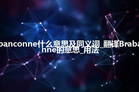 Brabanconne什么意思及同义词_翻译Brabanconne的意思_用法