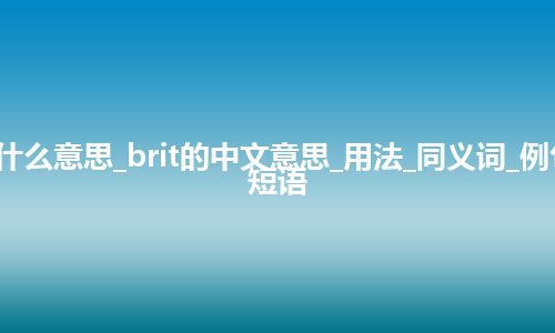 brit是什么意思_brit的中文意思_用法_同义词_例句_英语短语