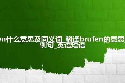 brufen什么意思及同义词_翻译brufen的意思_用法_例句_英语短语