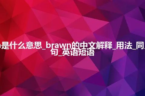 brawn是什么意思_brawn的中文解释_用法_同义词_例句_英语短语