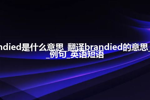 brandied是什么意思_翻译brandied的意思_用法_例句_英语短语