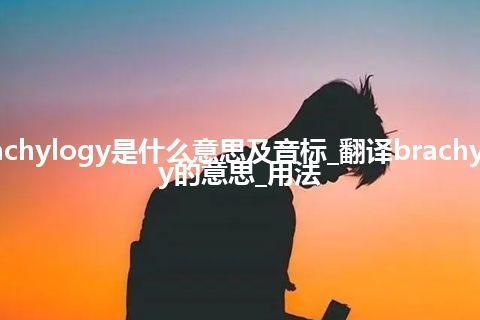 brachylogy是什么意思及音标_翻译brachylogy的意思_用法