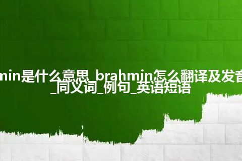 brahmin是什么意思_brahmin怎么翻译及发音_用法_同义词_例句_英语短语